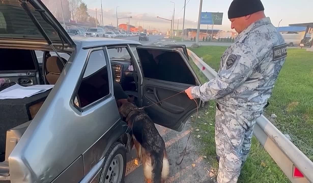 На территории республиканской столицы сотрудники Госавтоинспекции совместно с кинологической службой провели очередное масштабное мероприятие