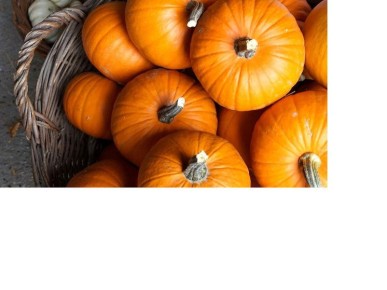 Тыквенный спас: как креативно отметить Хэллоуин по-русски