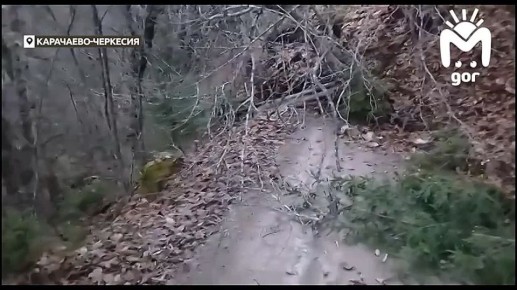 Сель сошёл в районе туристической пещеры в Карачаево-Черкесии