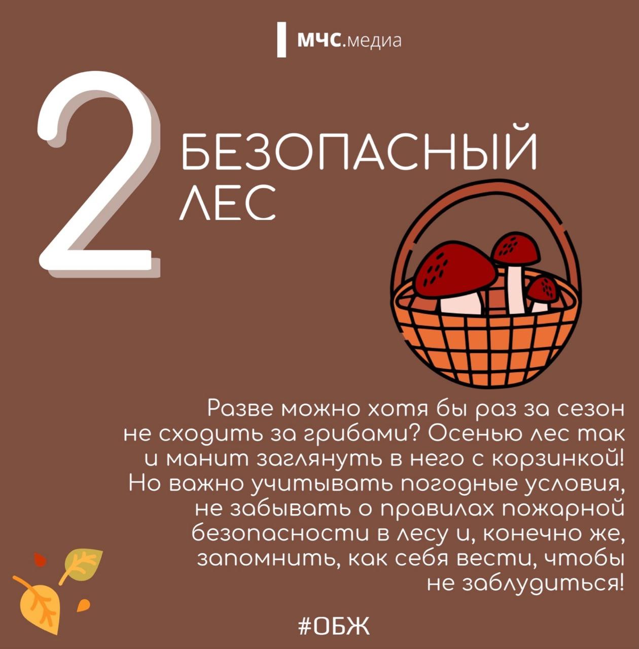 Осень — время повышенного риска для безопасности, так как погодные условия становятся более сложными: температура снижается, на дорогах и тротуарах появляется листва, часто идут дожди Осень — время повышенного риска для безопасности, так как погодные условия становятся более сложными: температура снижается, на дорогах и тротуарах появляется листва, часто идут дожди