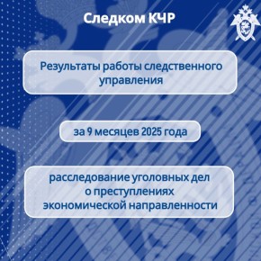 Следственным управлением СК России по Карачаево-Черкесской Республике обобщены результаты расследования преступлений экономической направленности за 9 месяцев 2025 года