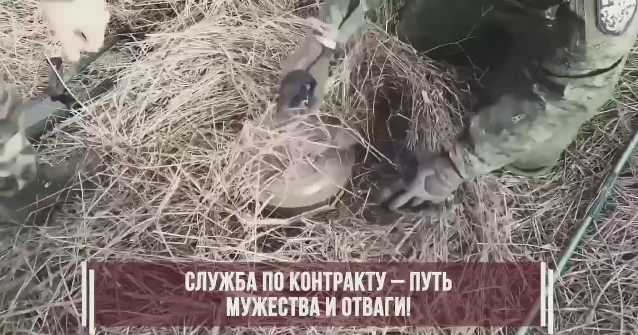 Служба по контракту - путь мужества и отваги! Возможность оставить свой след в истории и стать настоящим героем