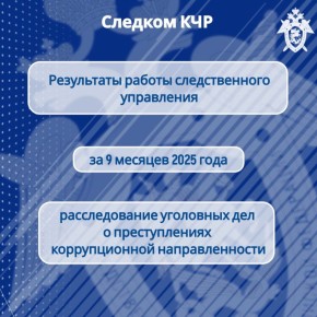 Региональным следственным управлением обобщены результаты расследования преступлений коррупционной направленности за 9 месяцев 2025 года