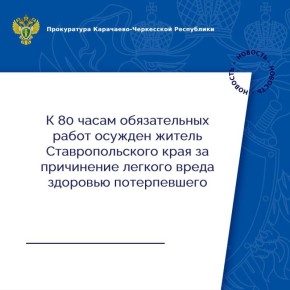 Мировым судом судебного района г. Карачаевска вынесен приговор по уголовному делу в отношении 44-летнего жителя Ставропольского края