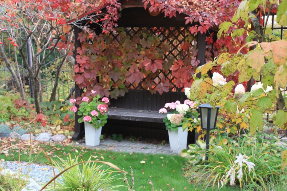 осень в саду: как сохранить последние краски природы