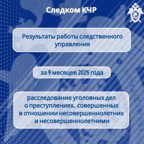 В следственном управлении обобщены результаты расследования преступлений, совершенных в отношении несовершеннолетних и несовершеннолетними за 9 месяцев 2025 года