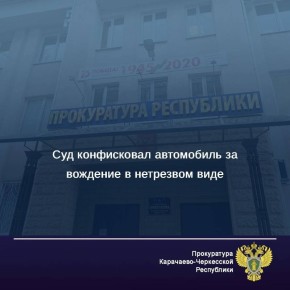 Черкесский городской суд вынес приговор по уголовному делу в отношении местной жительницы