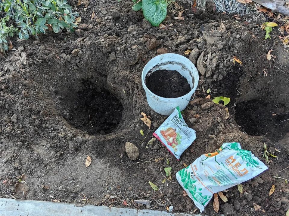 Эффективная подготовка огорода осенью: простые советы