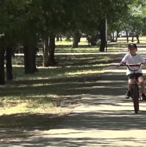 Как реализовать права ребенка в условиях многодетности