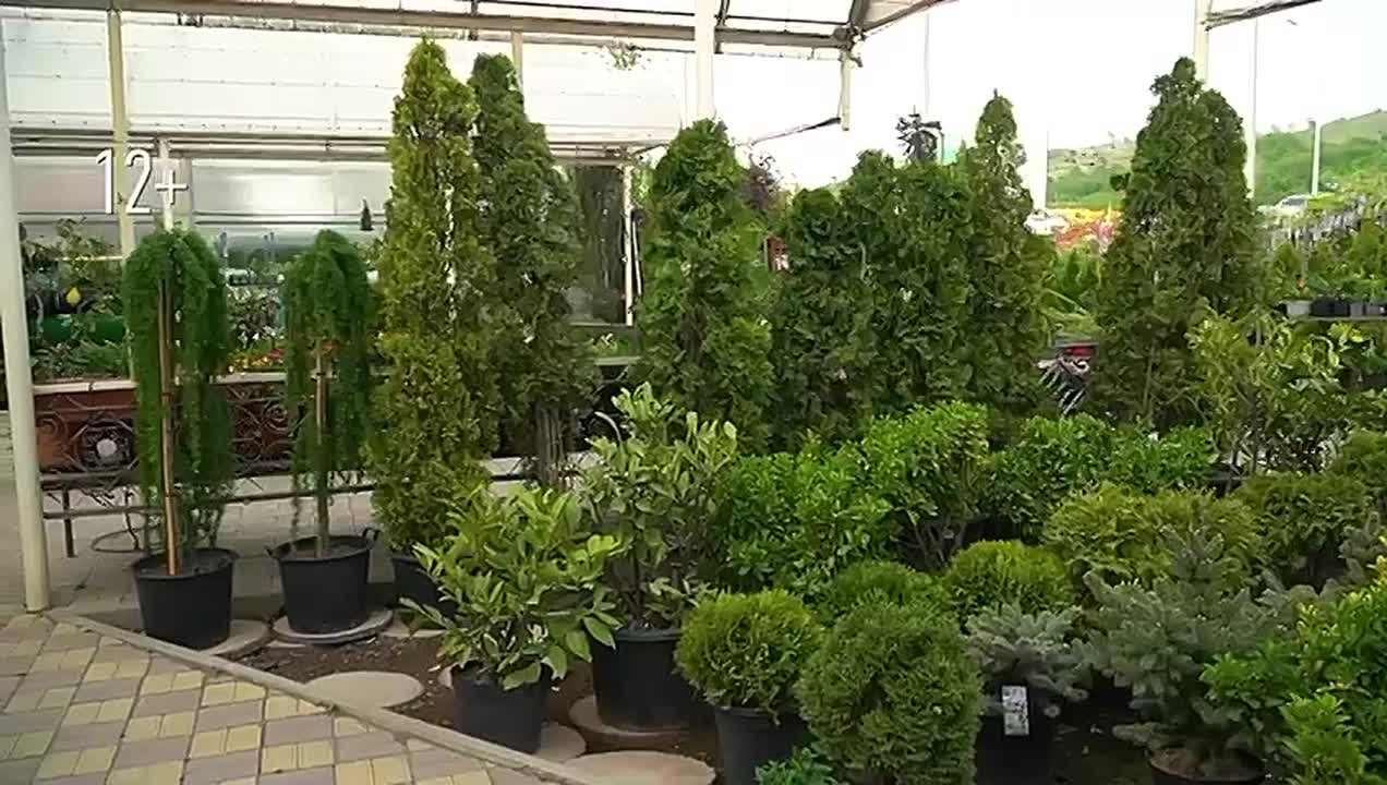 Садово-парковый центр объявляет ноябрьскую скидку на всё!!!