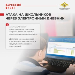 «А вы сдали на шторы?»