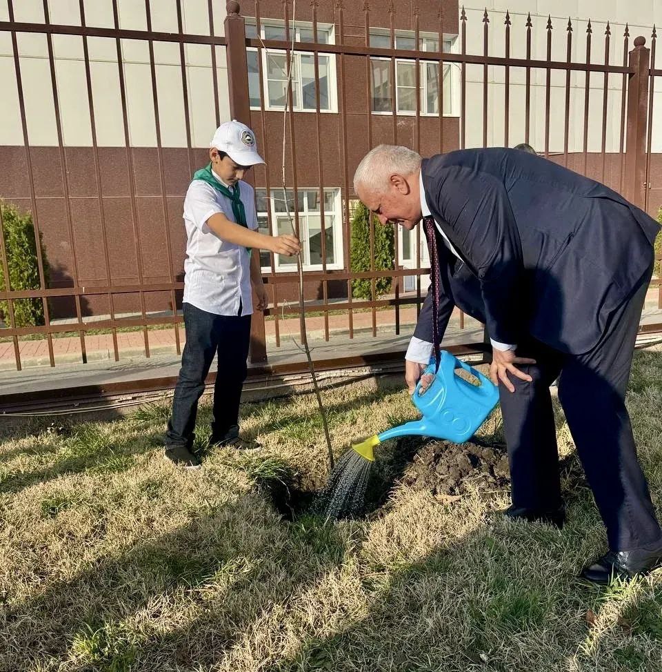 В Черкесске высадили 80 деревьев в честь 80-летия Победы В Черкесске высадили 80 деревьев в честь 80-летия Победы
