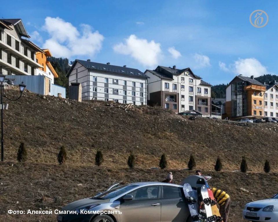           2025    16,3%       ,   