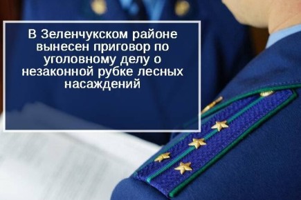 Зеленчукский районный суд вынес приговор по уголовному делу в отношении местного жителя