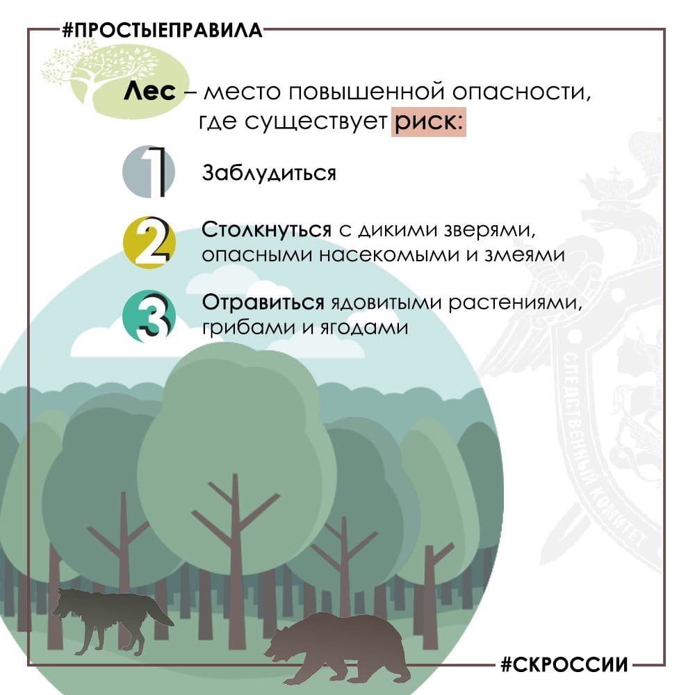 Региональное следственное управление призывает граждан соблюдать меры безопасности при собирании грибов и ягод Региональное следственное управление призывает граждан соблюдать меры безопасности при собирании грибов и ягод