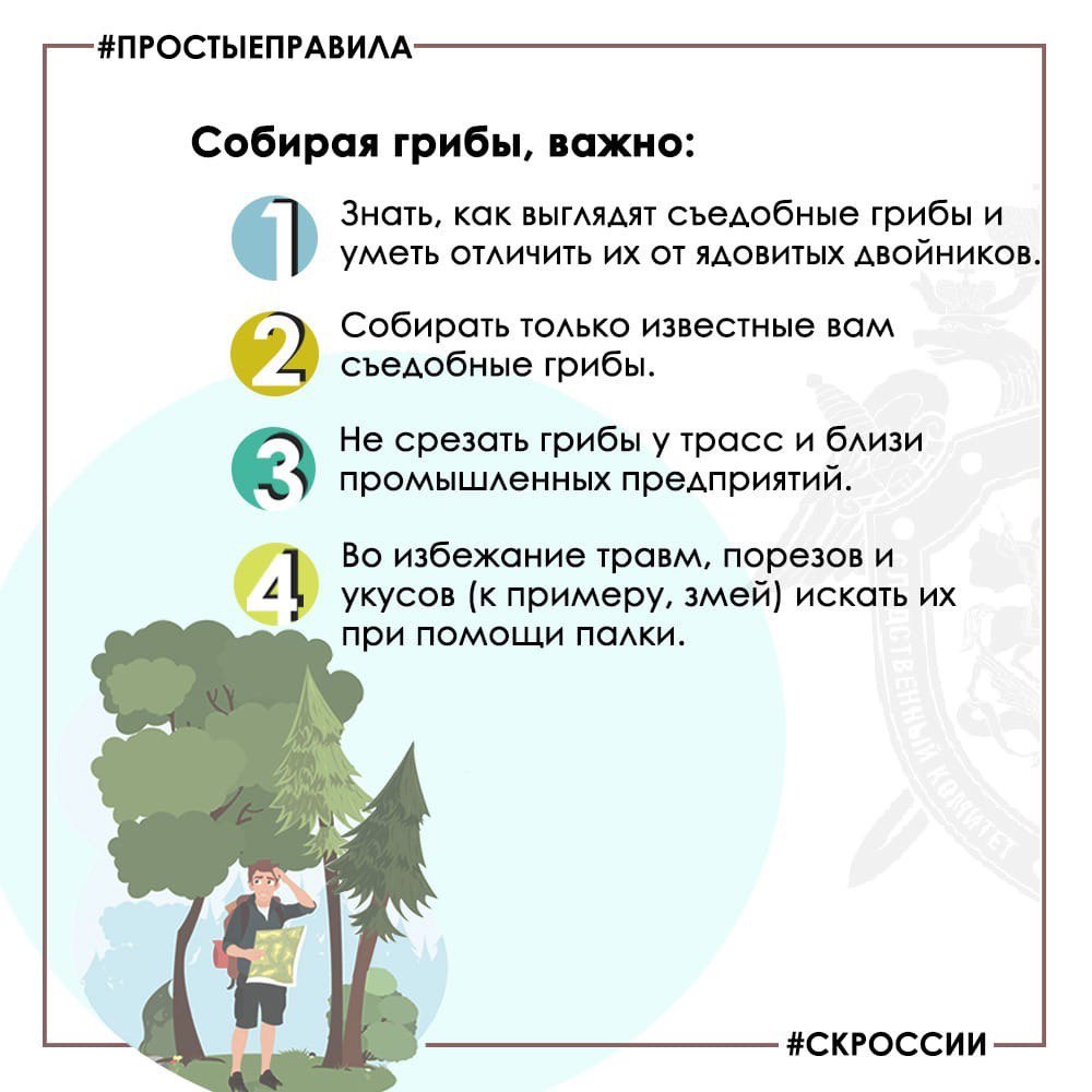 Региональное следственное управление призывает граждан соблюдать меры безопасности при собирании грибов и ягод Региональное следственное управление призывает граждан соблюдать меры безопасности при собирании грибов и ягод