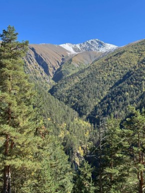 На территории Карачаево-Черкесии официально завершился пожароопасный сезон, что связано с установившейся стабильной погодой и выпадением устойчивого снега в горных и предгорных районах