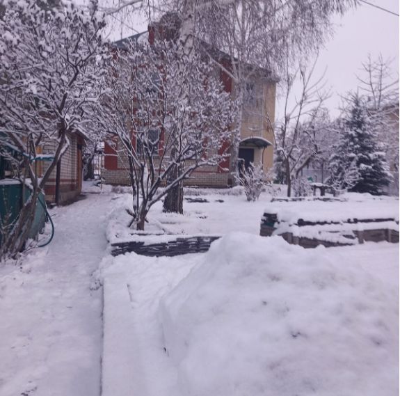 ��� ������� ��������� ����� ��� ����: ���������� ������ � ������ ������� ������������