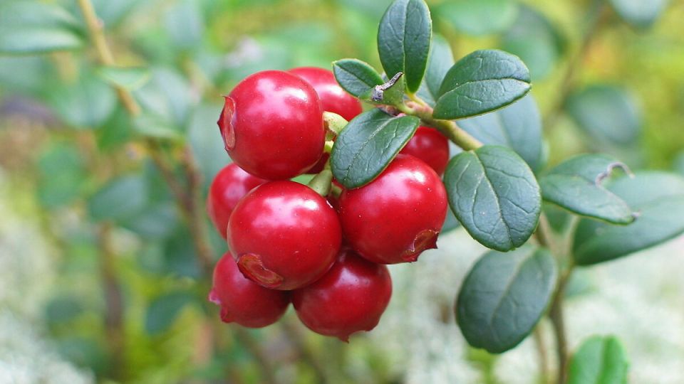 �� ��� �������� �������� ��� ������ ������ ��� ����