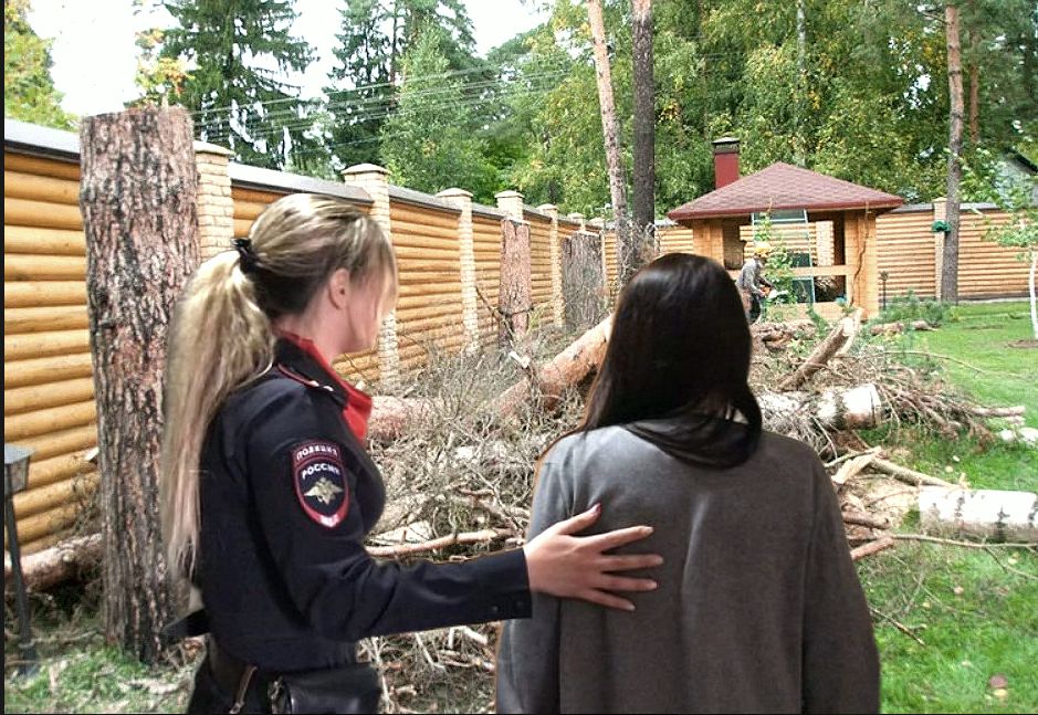 Семейная драма: многодетная мать осуждена за спил деревьев на своем участке