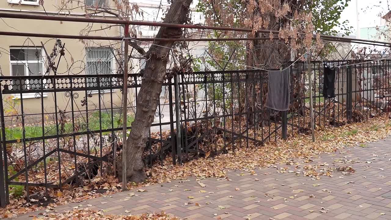 1 декабря партия «Единая Россия» отмечает 24 годовщину со дня создания