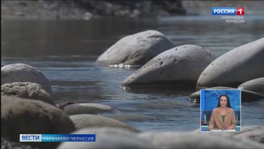 Рашид Темрезов: в 2025 году Карачаево-Черкесия в рамках серии экологических мероприятий заняла 2 место