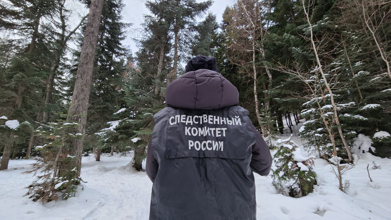 В Международный день гор региональное следственное управление разъясняет основные правила безопасного горного туризма