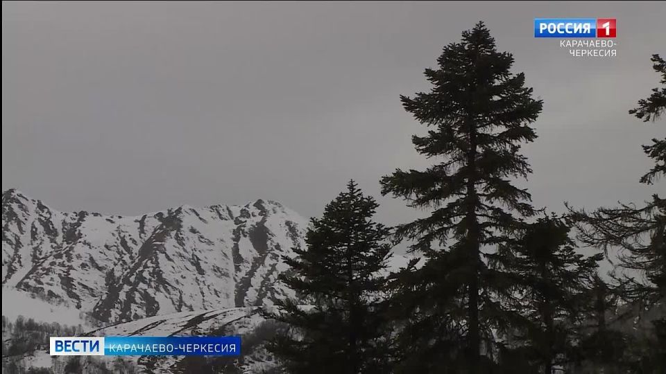 ����� ���������-��������: � 2025 ���� ����������� �� ������������������ ��������� �� 124 �������� ���������� ����������