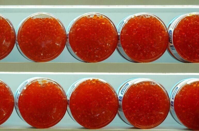 ��� ���������� ��������� ������� ����: ������ ��������