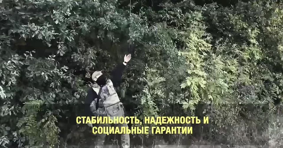 ������ �� ��������� - ������ ������ � �� ���������! ��������� ��������, �������� �������� � ����� ����