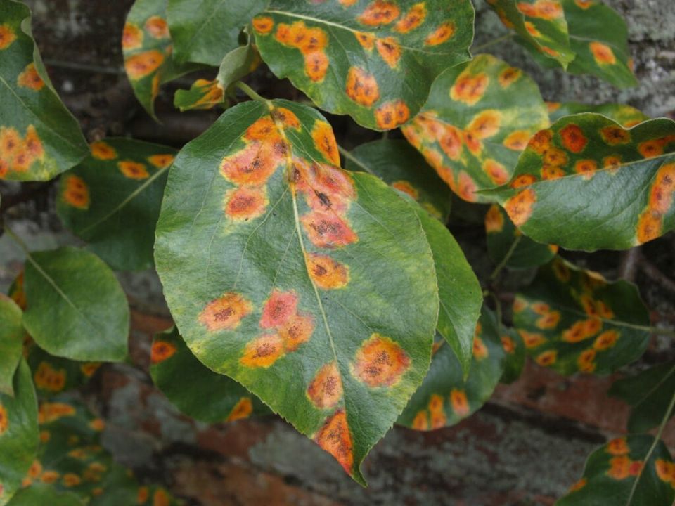 ��� �������� ����� ��������: ������� ������ � �������� ���������