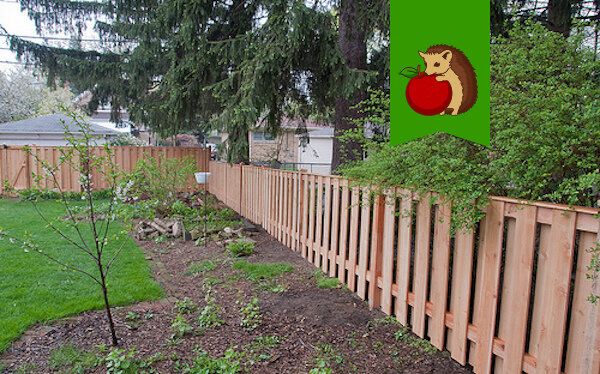 ��� ���������� � ��������� �������, ���������� ������ ������