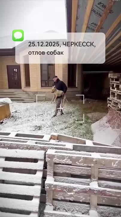 � ��������� ������ ��������� ����� ����� �������� ��������