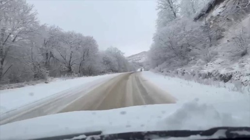 �� ����� ��������� ��������� ������� �� ���������� �����-������� - ������