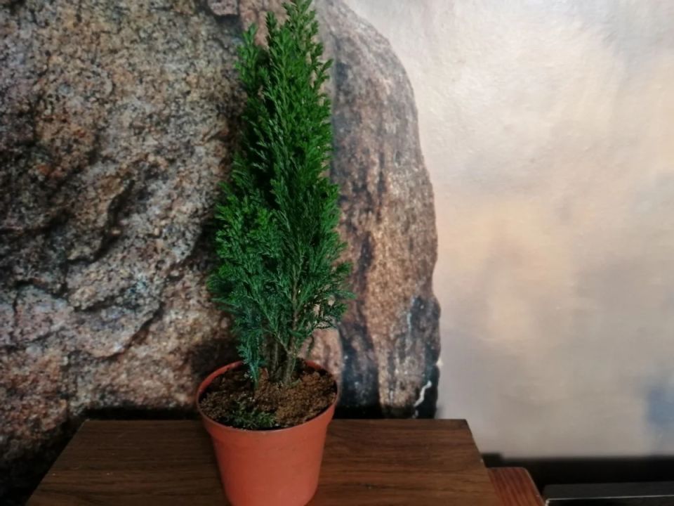 ����� ����� ������������: �� ������� �� ���������