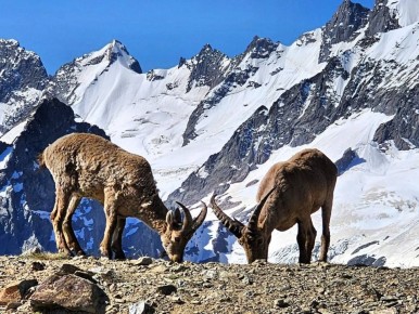 Уважаемые жители и гости республики!
