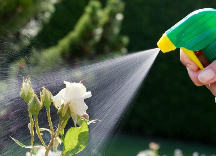 ��� ������� ��������� �������� ��� ����