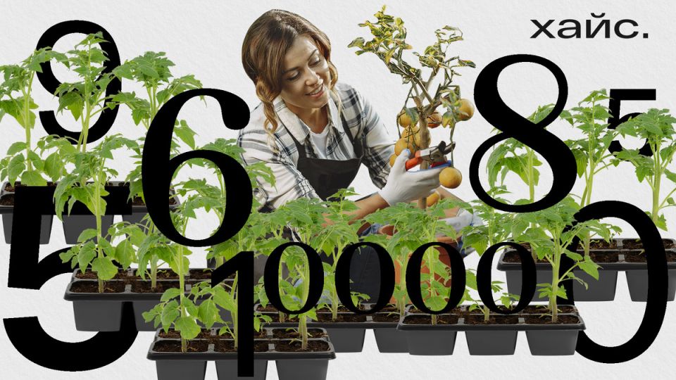 ��� ����� �� ������ � 40 ���: ������� ����� �������� � ��� ������� ���������� �������