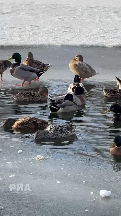 ����� ������ �� ��� � ������������� ������ ���� �� ��������� �����, �� ����� ������ ��� ���������