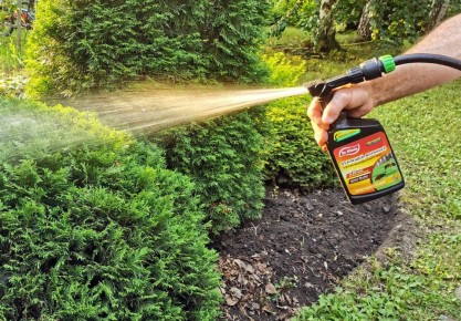 Эффективная борьба с насекомыми: как препарат Dr. Klaus помогает защитить дачный участок