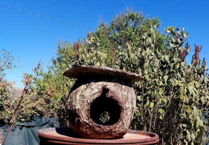 Необычная кормушка для птиц: креативный подход и практические советы