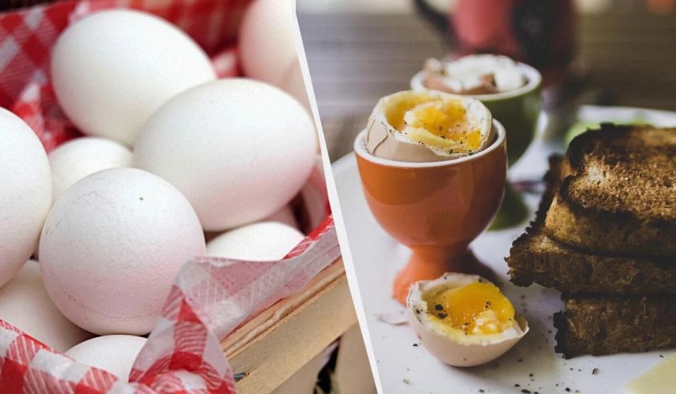 ��� ������ ��������� ���� �� ������� ���-������: ������ ������� ������