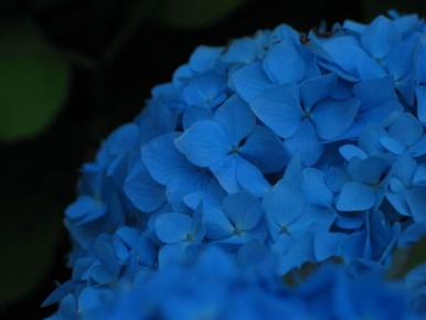 ������ ������������ ������� ��� ���������