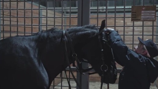 ������ ���������: ���� ���������� � ���������� ���������, �� ����������� 2026 ��� � ��� ��� ������