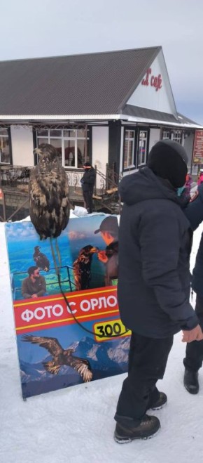 � ���������-�������� ���������� ������� �������� ���������� ������������������� ������������