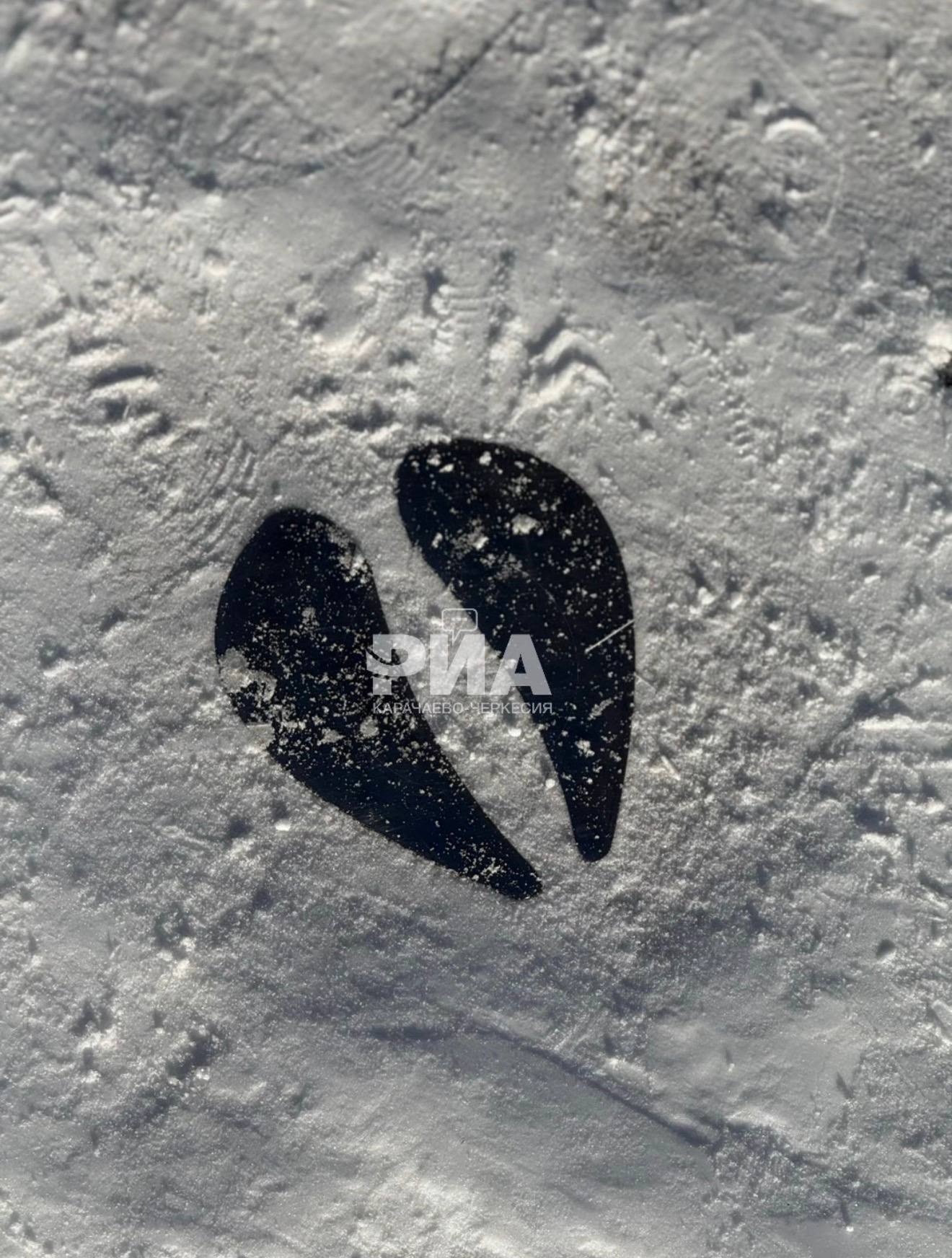 Новогодние каникулы в разгаре, и если вы думаете, чем еще заняться с детьми, то мы советуем отправиться в парк «Зеленый остров в Черкесске Новогодние каникулы в разгаре, и если вы думаете, чем еще заняться с детьми, то мы советуем отправиться в парк «Зеленый остров в Черкесске