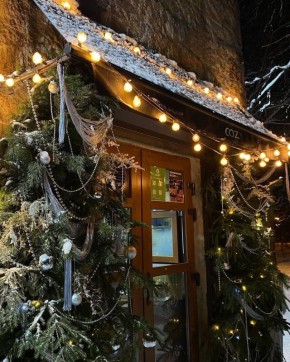 ��� ���� � ����: ������������ COZY � ����������� ����