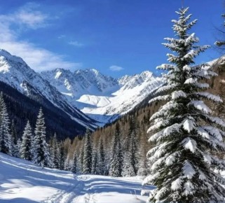 Сегодня в России отмечают День заповедников и национальных парков