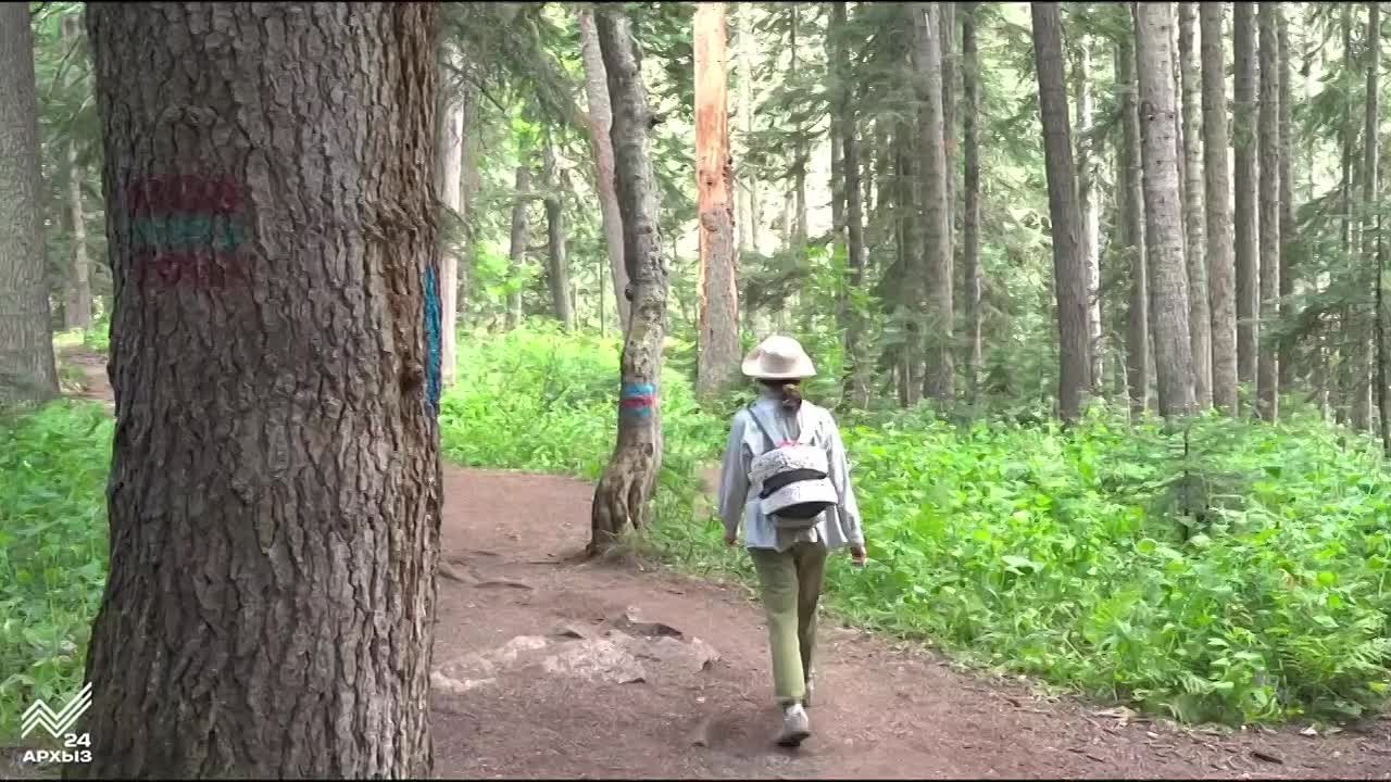 Сегодня в России насчитывается 109 государственных природных заповедников, 65 национальных парков, 63 государственных природных заказника