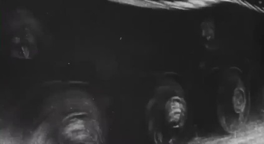 �������, 12 ������, ����������� ����� 104 ���� �� ��� ����������� ���������-���������� ���������� �������